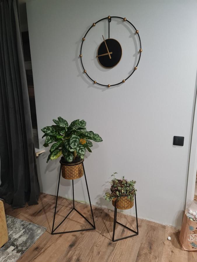 Old Town Apartment Riga Esterno foto